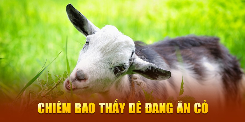 Chiêm bao thấy dê đang ăn cỏ