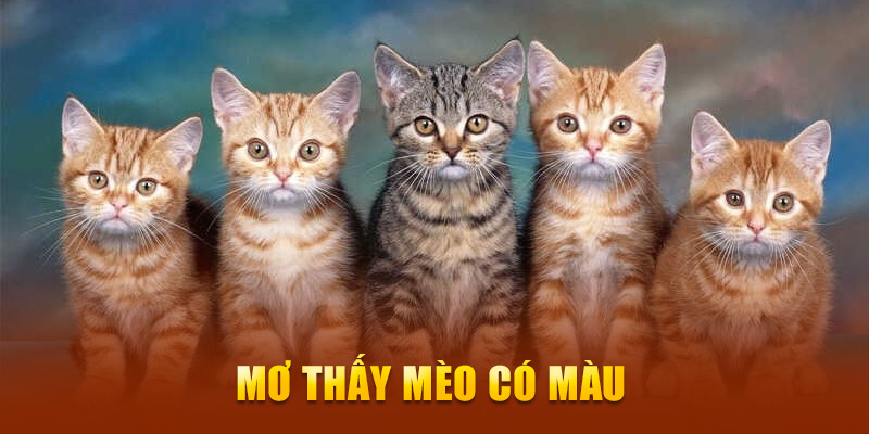 Mơ thấy mèo có màu